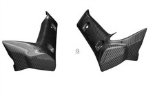 Carbon Kühlerverkleidung für