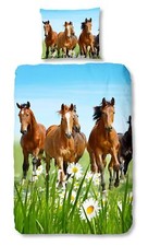 Traumschloss Kinder Renforcé Bettwäsche Baumwolle - Pferde Wiese, pflegeleicht
