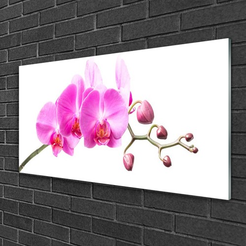 Glasbilder 100x50 wandbild - 100x50,