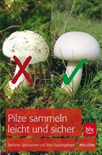 Pilze sammeln leicht und