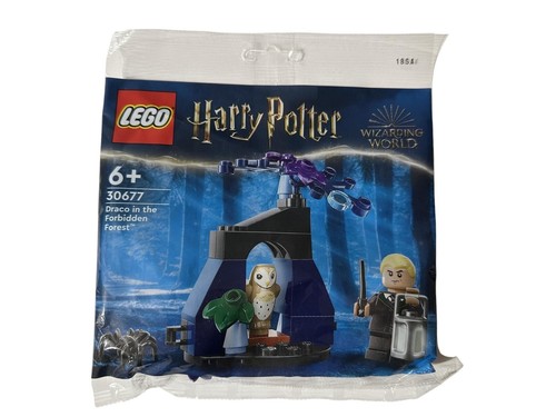 Lego harry potter 30677 - potter,