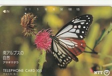 Tier/Animal/Schmetterling/Butterfly/Gefährdete Tiere - TK Japan gebr. 27