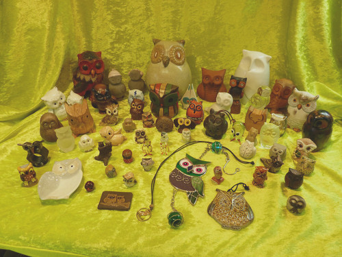 Eulen aus sammlung - 60,