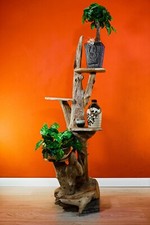 Wurzelholz Blumentreppe