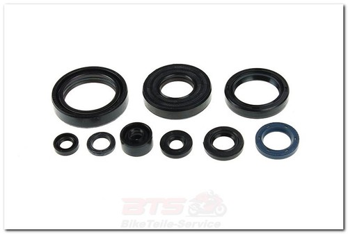 Motorsimmerringsatz 1032004