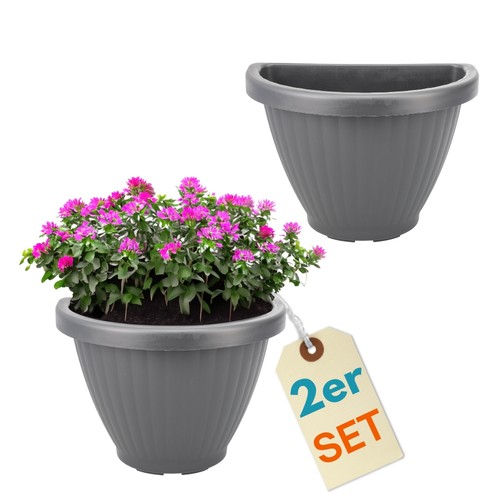 Blumentopf wand blumen - blumentopf,