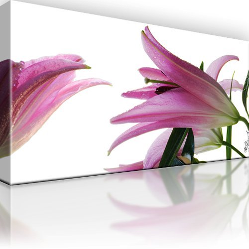 Lilie blume bild - lilie,