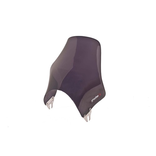 Windschild universal naked - universal,