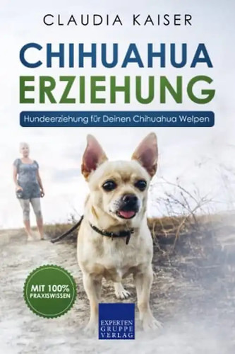 Chihuahua erziehung - chihuahua,