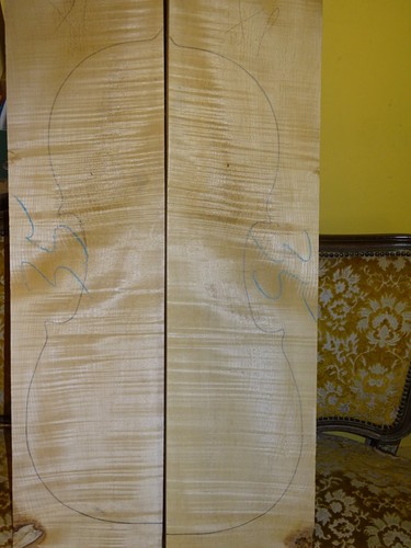 Tonholz tonewood klasse - tonholz,, tonewood,