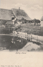 AK Hallig Oland um 1910 (T762)