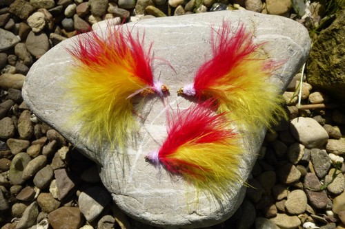 Budgie streamer 8 - 3, #