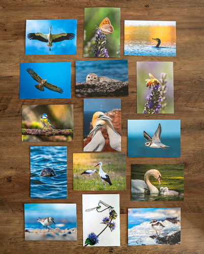 15er postkarten set - 15er, postkarten-set