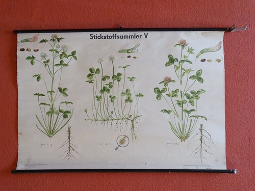Ddr schulwandkarte schulkarte - ddr,