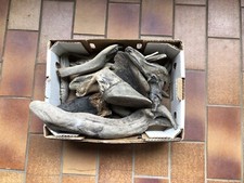 Treibholz Vom Bodensee 