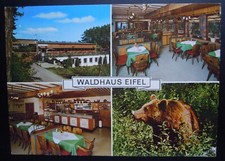 AK GONDORF - Waldhaus Eifel -