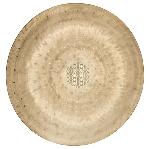 Meinl sonic energy wgfol14 - wgfol14, 14"