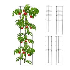 Rankhilfe staudenhalter - rankhilfe,