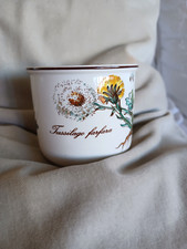TOP1 V& B Villeroy & Boch BOTANICA   TUSSILAGO FARFARA  1 Tasse