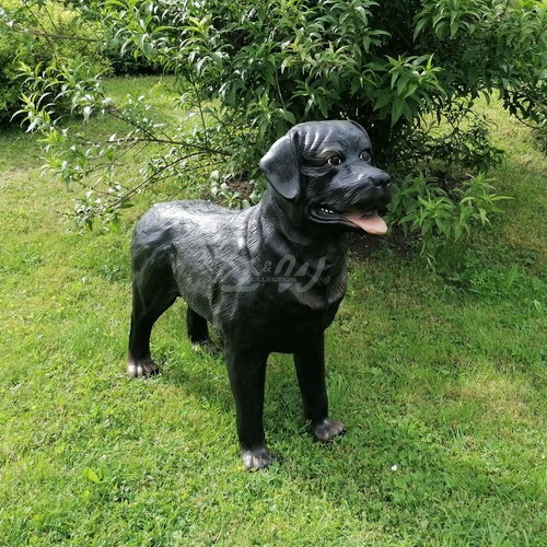 Rottweiler rotti lebensgroß - rotti,