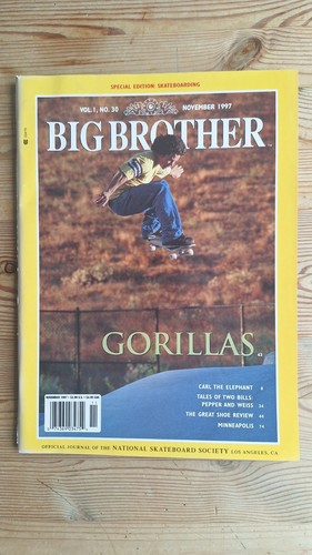 Big brother skateboard - big,