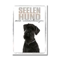 Riesenschnauzer Seelenhund Dog
