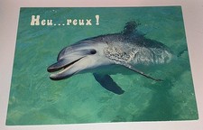 Delfin Delphin Dolphin Dauphin