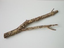 Korkast ,Vollkorkast, Dekoration, Naturkork, Nr 221