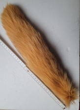 Fuchsschwanz, Fuchsschweif