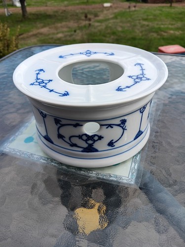 Winterling indisch blau - winterling,