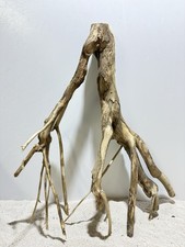 Talawa Wurzel XXL ähnlich