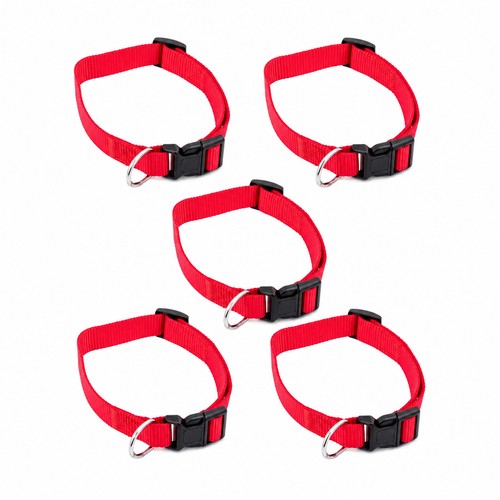 Hundehalsband 5er set - 5er,