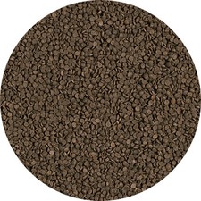 Tropical Welsi Gran-