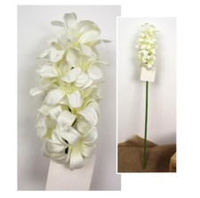 Hyazinthe weiß 48 cm