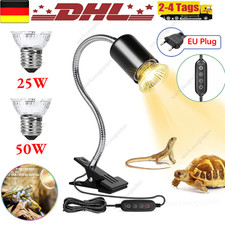 Schildkröten Wärmelampe