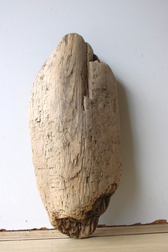 Treibholz schwemmholz - treibholz,