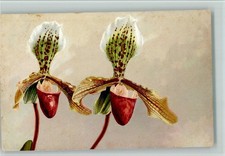 10523155 - Nenke & Ostermaier Serie 533 Nr. 1069 - Blumen Photochromie 1921