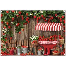 21 x 15 m Erdbeer Booth