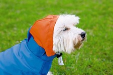 Hunde Regenjacke Regenschutz