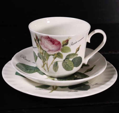 Roy kirkham redoute roses - redoute,