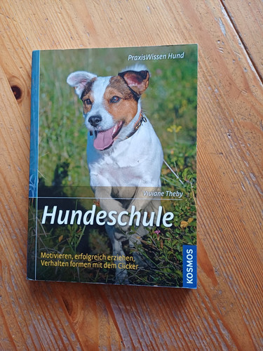 Hundeschule motivieren clicker - motivieren,