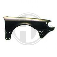 Diederichs Kotflügel links