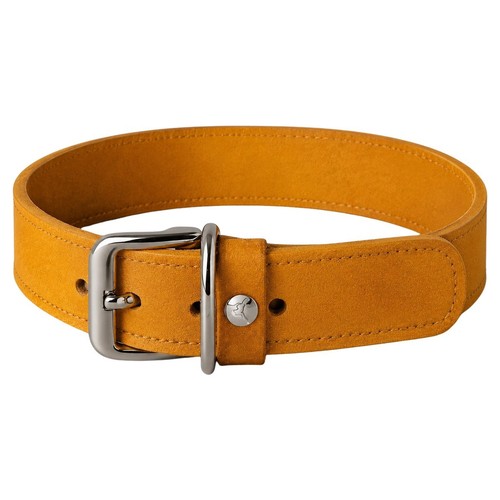 Das lederband hundehalsband - das,