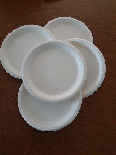 Einweg teller bagasse 26 cm - teller,,