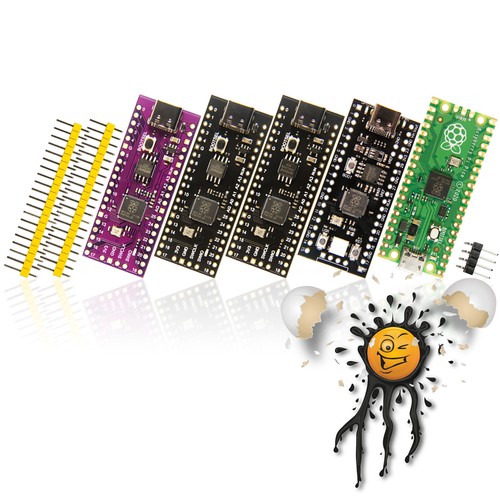Raspberry pico dual arm - raspberry,