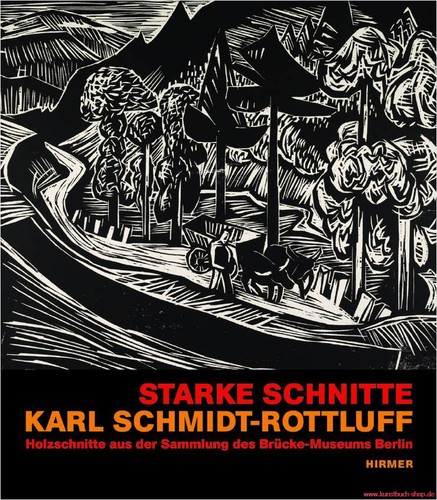 Fachbuch starke schnitte karl - fachbuch, schnitte,