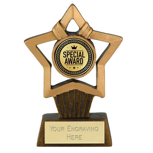 Sonderpreis mini stern - sonderpreis, (b)