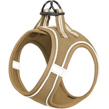 Hundegeschirr Kleine Hunde