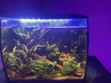 Aquarium Fluval