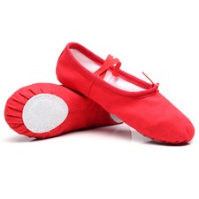 Ballettschuhe Spitzenschuhe
